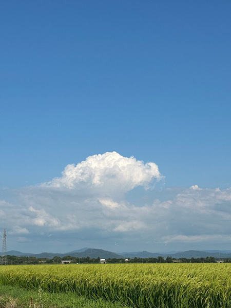 梅雨明け